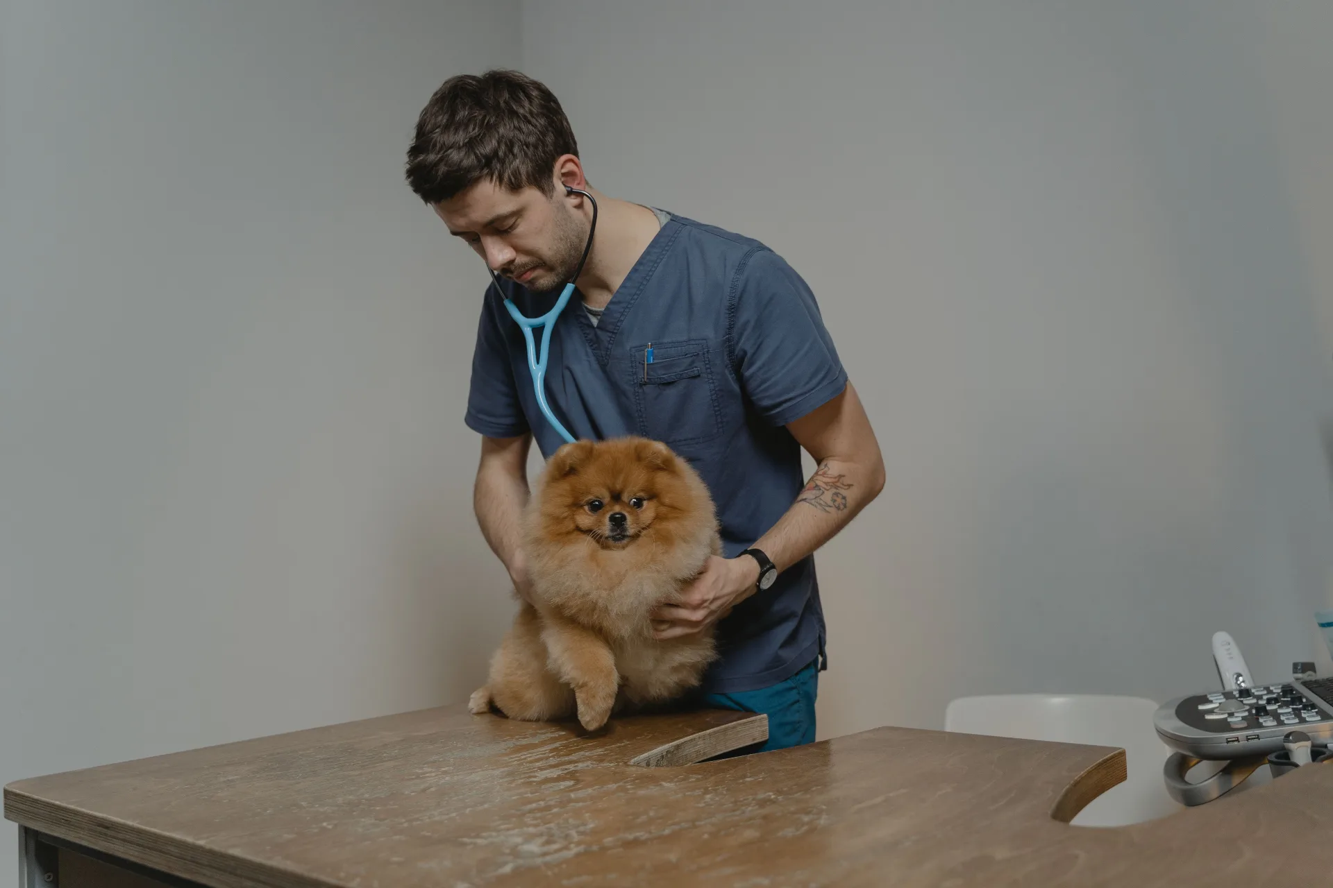 10 Essential Questions to Ask During Your First Veterinary Appointment