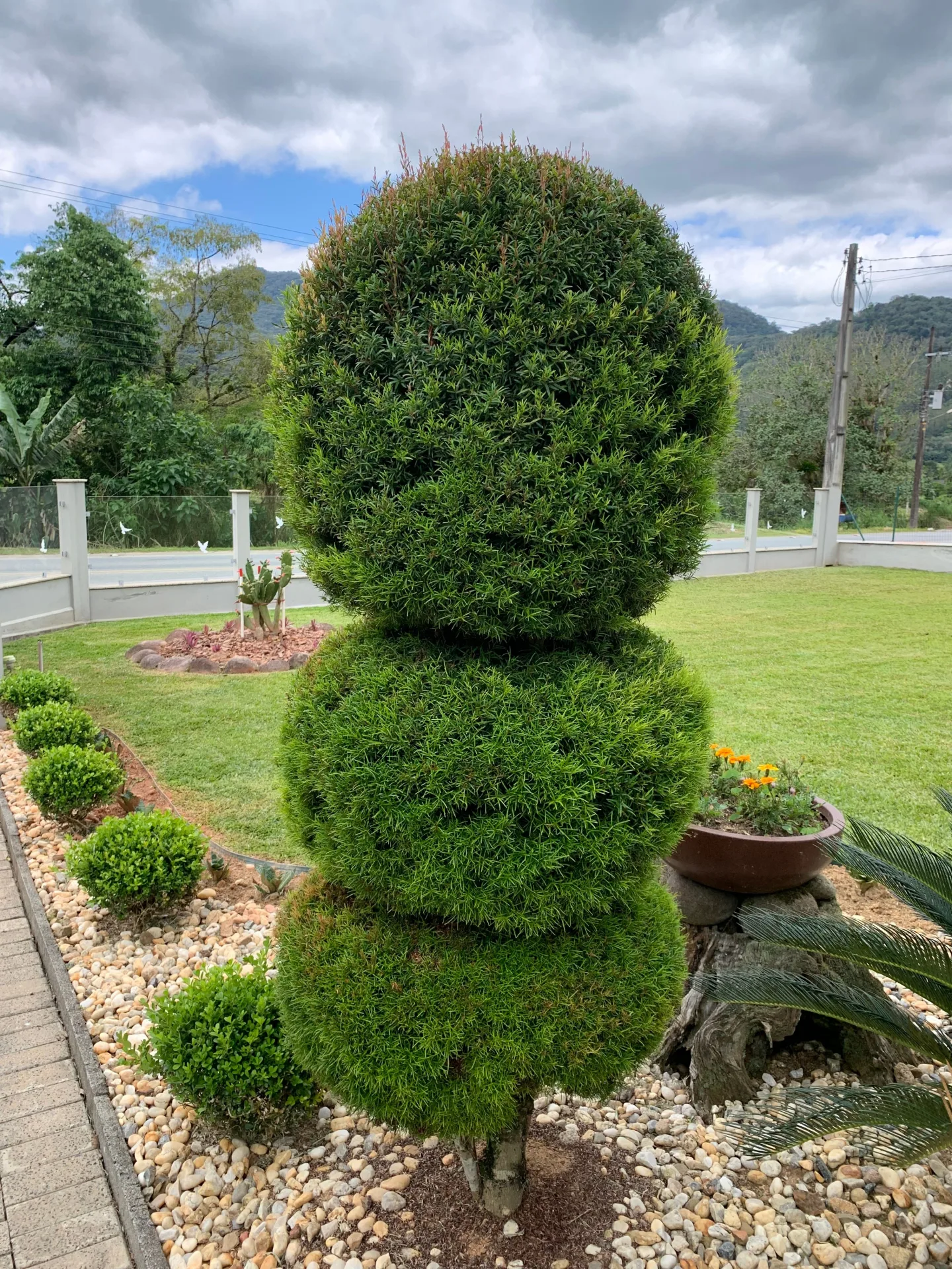 How Much Does Landscaping Cost? A Complete Price Breakdown