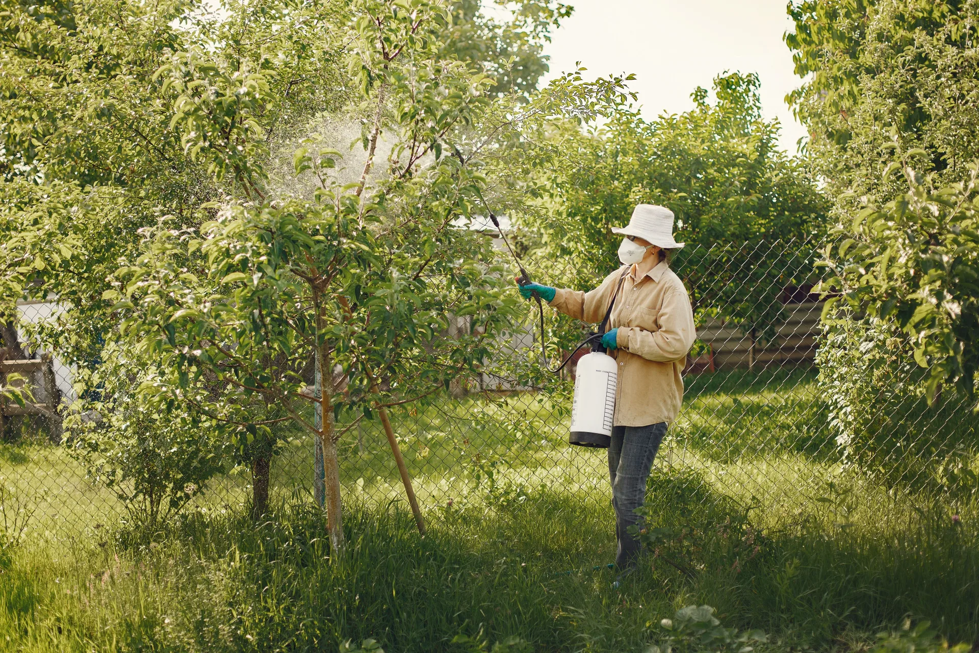 How Much Does Pest Control Cost? 2024 Pricing Guide
